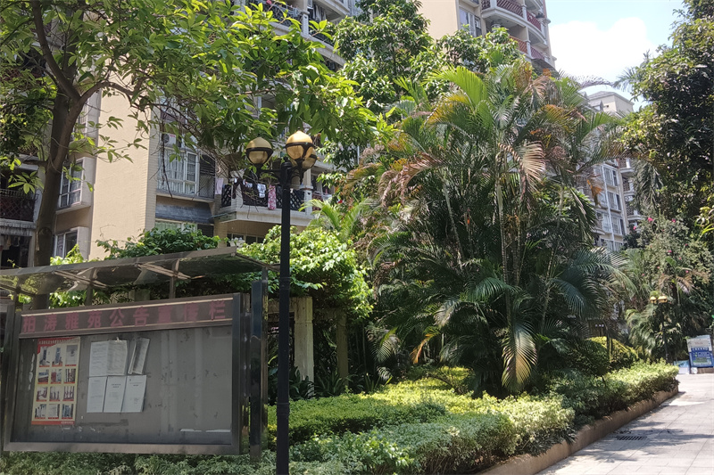 广州柏涛雅苑（焕梯）13台     